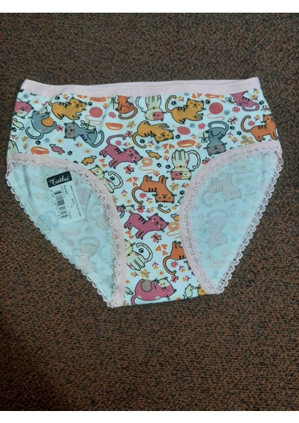 Pembe Renkli Kedi Desenli %94PAMUK Cotton %6 Elastan Bato Kız Çocuk Rahat Kullanışlı Külot modelleri