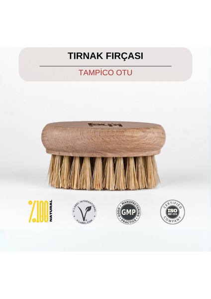 No.4 Tampiko Bitkili Tırnak Fırçası