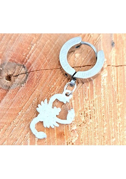 Çelik Gümüş Renk Akrep Figürlü Unisex Küpe fiyatları