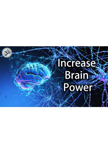 Neuro Optimizer Hafıza Ultra Zeka Pantothenic Calcium D-Pantothenate Acetyl-L-Carnitine Hydrochloride L-Glutamine Taurine Cytidine 5'-Diphosphocholine fiyatları