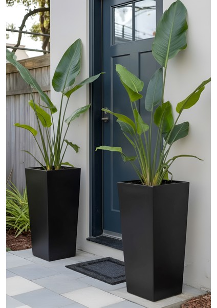 Zenith 60 cm Dikey Metal Antrasit Saksı - İç ve Dış Mekan Modern Dekoratif Saksılık (60x35/25 cm)