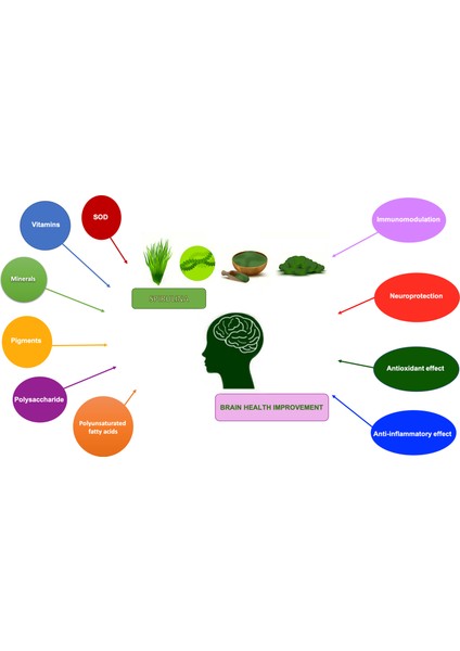 Spirulina Micro-Algae 380 Premium Mineral Sodium Sodyum Vitamin A As Beta Carotene Immune