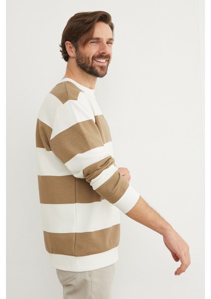 Çizgili Bisiklet Yaka Sweatshirt