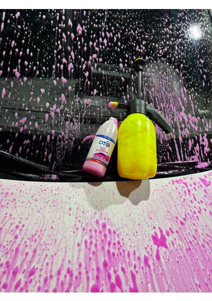 Areon Hediyeli Pembe Oto Şampuanı 720 ml fiyatları