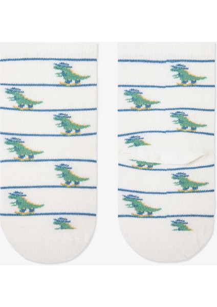 Erkek Çocuk Dino Farm Dinozor Desenli 4'lü Soket Çorap fırsatları