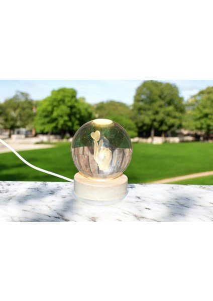 Kalp ve El Hareketi Temalı Kristal Küre Lamba - Romantik ve Şık Dekorasyon fiyatları