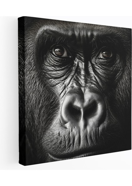 Goril Duvar Dekorasyonu - Bilgelik ve Güç Ile Tasarlanmış Kanvas Tablo