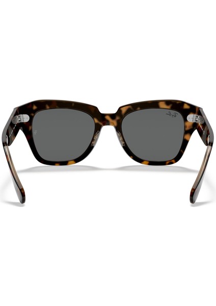 RB2186 Kadın Güneş Gözlüğü modelleri