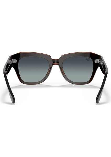 2186 132241 Unisex Güneş Gözlüğü modelleri