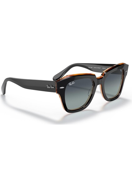 2186 132241 Unisex Güneş Gözlüğü fırsatları