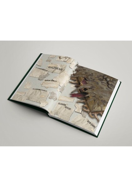 Harry Potter Slytherin 20. Yıl Özel Baskılı Haftalık Ajanda - Yeşil, 16,5 x 24,5 cm, Kadife Dokulu Sert Kapak (1 Adet)