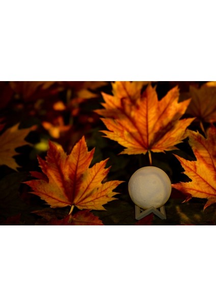 Dekoratif Ay Lamba - Modern Tasarım Gece Lambası fırsatları