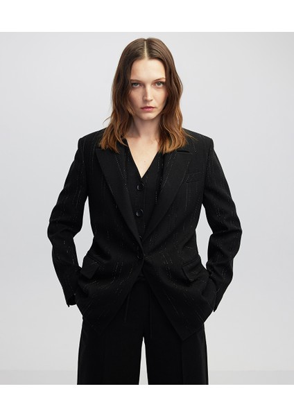 Hotfix Şeritli Blazer IW6250005059001