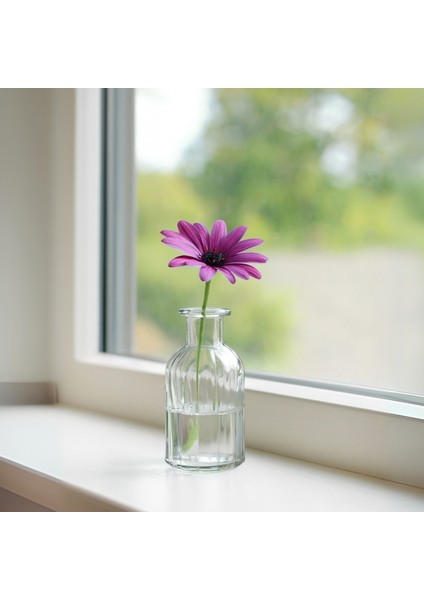 Cam Şeffaf Mini Vazo Çiçeklik 242234