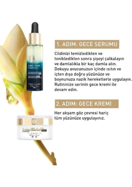 Yenileyici Yaşlanma Karşıtı Bitkisel Kök Hücre Bakımı Rutin Seti - Vegan modelleri