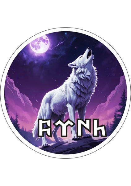 5 Adet 10X10 cm Bozkurt V3 Sticker Araba Motor Kask Defter Masa