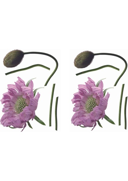 2 Adet Defter Sticker,laptop Sticker Mor Çiçekli Pvc 70X50X0,5CM fiyatları