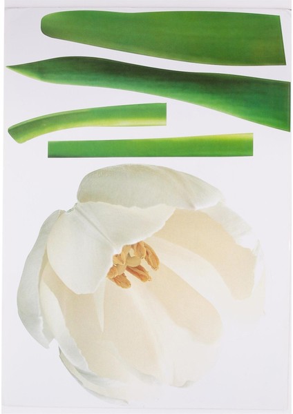 2 Adet Defter Sticker,laptop Sticker Çiçekli Pvc 70X50X0,5CM fırsatları