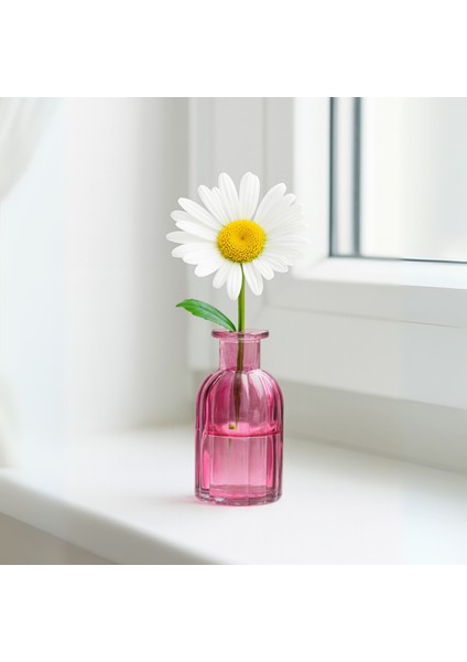 Cam Mor Mini Vazo Çiçeklik 242231