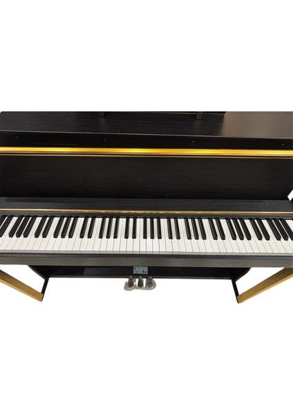 Dıjıtal Pıyano Br-11 Bk fiyatları