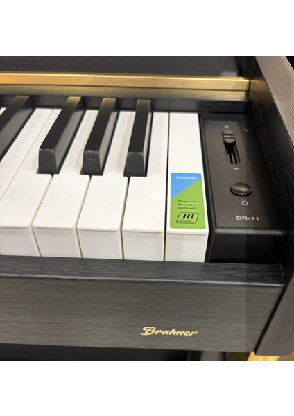 Dıjıtal Pıyano Br-11 Bk modelleri