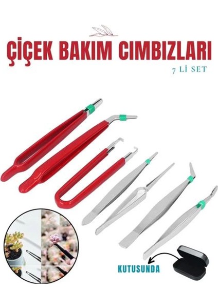 Çiçek Bakım Kutulu Cımbız Seti
