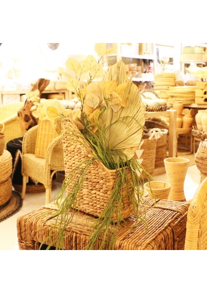 Mylamp Doğal Su Sümbülü Dosya ve DERGİLİK13X27X32 Cm. modelleri