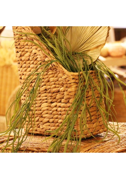 Mylamp Doğal Su Sümbülü Dosya ve DERGİLİK13X27X32 Cm. indirimleri