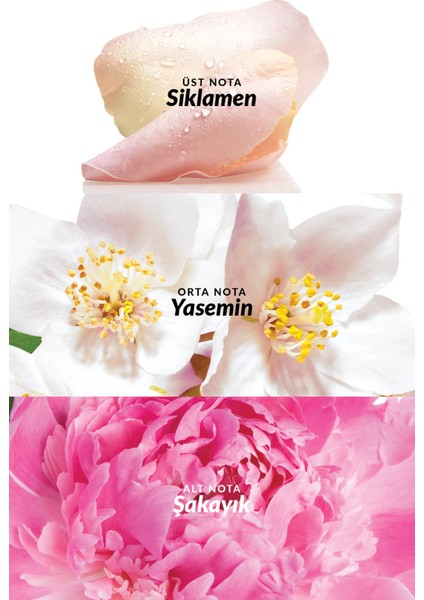 Celebre Kadın Vücut Spreyi 100 ml Beyaz Şeftali Kış Üzümü ve Çiçek Meyve Aromalı PCR Ambalaj