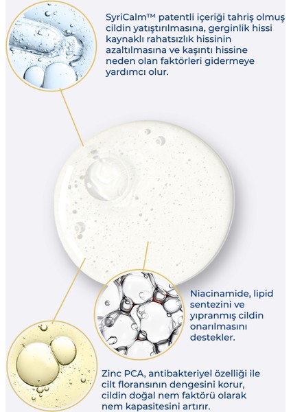 Atopia Temizleyici 100 ml Yağ fiyatları