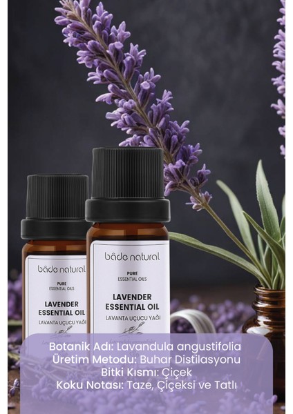 %100 Saf Doğal Lavanta Uçucu Yağı 10 ml Unisex Buhar Distilasyonu ile Yatıştırıcı