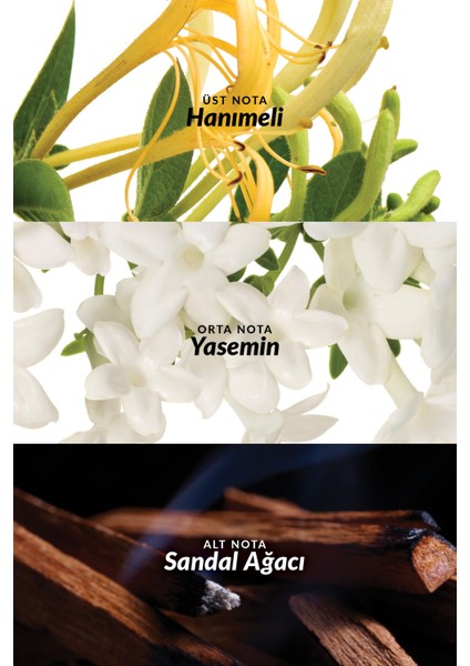 Little Black Dress Kadın Vücut Losyonu 125 ml Nemlendirici Çiçeksi ve Oryantal Koku