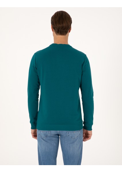 Erkek Zümrüt Regular Fit Sweatshirt 50317750-VR055 indirimleri