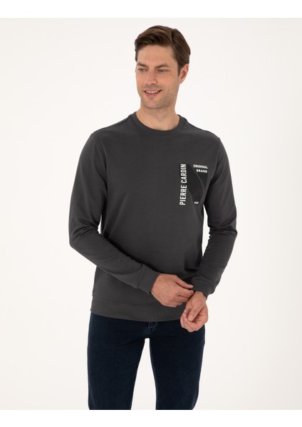 Erkek Antrasit Regular Fit Sweatshirt 50317750-VR006