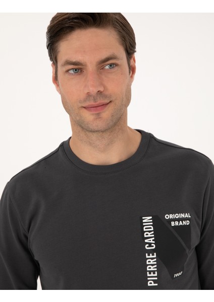 Erkek Antrasit Regular Fit Sweatshirt 50317750-VR006 fiyatları