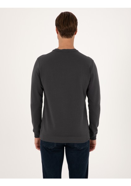 Erkek Antrasit Regular Fit Sweatshirt 50317750-VR006 indirimleri