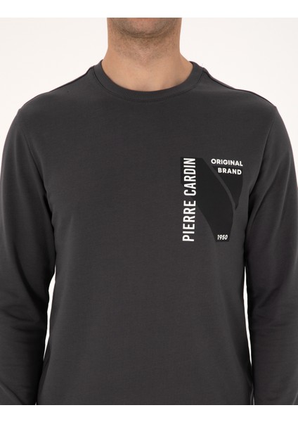 Erkek Antrasit Regular Fit Sweatshirt 50317750-VR006