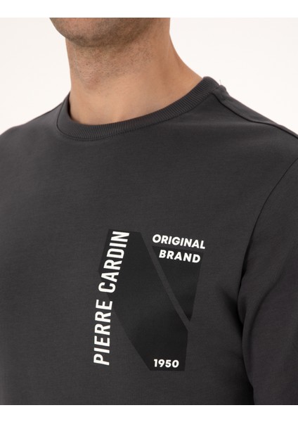 Erkek Antrasit Regular Fit Sweatshirt 50317750-VR006