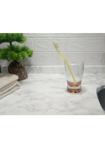 2 Adet Diş Fırçalık Macun Kabı Leopar Akrilik 6X6X11CM 270ML Banyo Seti indirimleri