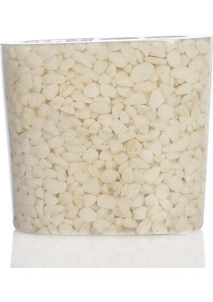 2 Adet Diş Fırçalık Deniz Taşı El Yapımı 400 gr 10X5X9CM Banyo Seti