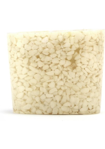 2 Adet Diş Fırçalık Deniz Taşı El Yapımı 400 gr 10X5X9CM Banyo Seti