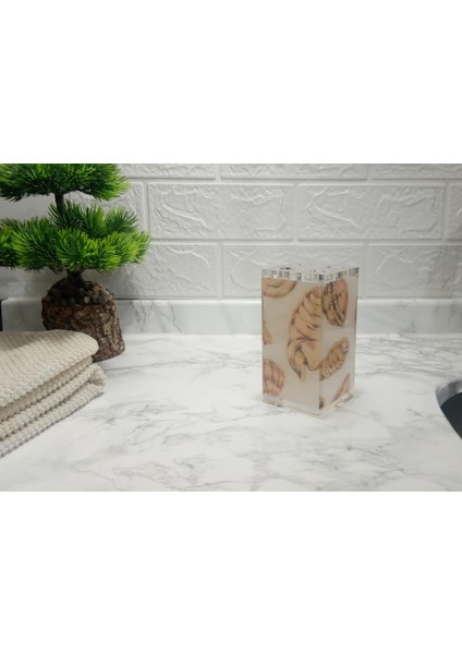 2 Adet Diş Fırçalık Istiridye Akrilik 6X6X12CM Banyo Seti fırsatları