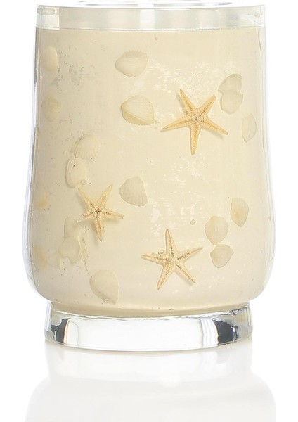 2 Adet Diş Fırçalık Deniz Yıldızı El Yapımı 400 gr 7X7X10CM Banyo Seti