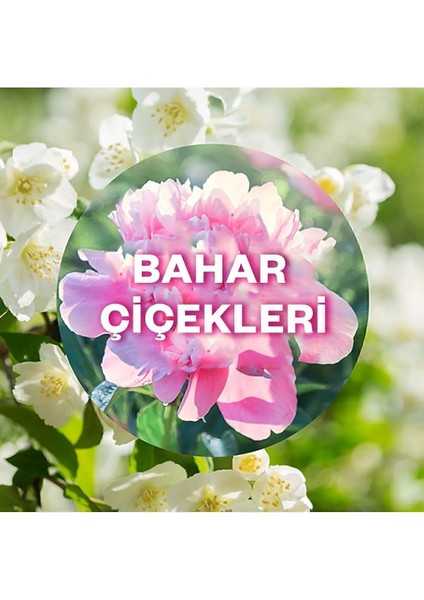 Elektrikli Oda Kokusu Yedek Şişe - Bahar Çiçekleri, 6'lı Paket, Uzun Süreli Doğal Esansiyel Yağlar ile Ferahlatıcı Koku