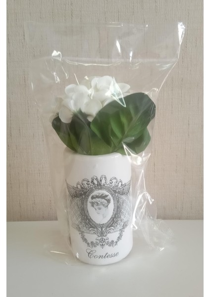 2 Adet Vazo Dahil,vazoda Çiçek,beyaz Yapay Çiçek,vazo Dekoratif Kraliçe Model 7X7X16CM fırsatları