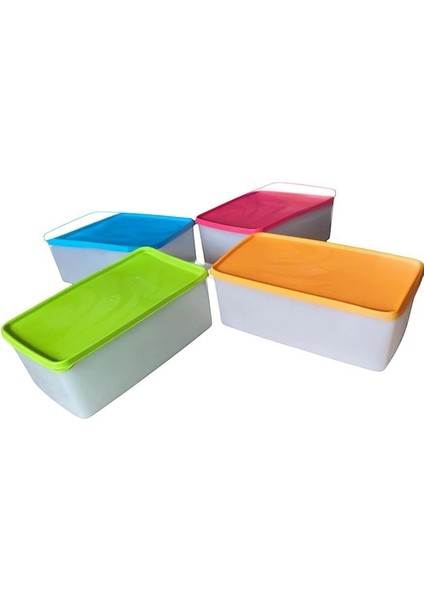 4 Adet Alaska Nofrost Büyük Saklama Kabı Derin Dondurucu 3,5 Lt