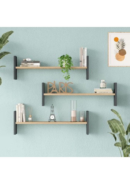 Shelf 23 Duvar Rafı Sepet-Antrasit WL23-SA