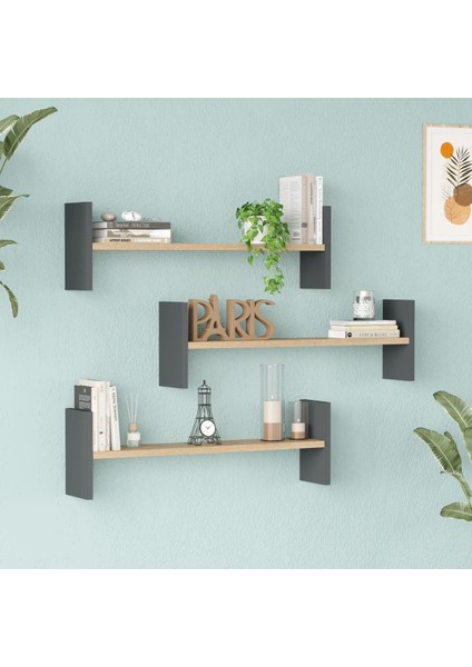 Shelf 23 Duvar Rafı Sepet-Antrasit WL23-SA fiyatları