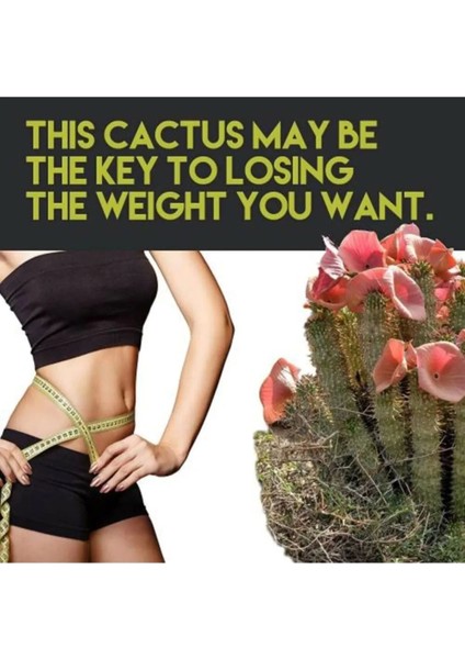 Hoodia Sıkılaştırıcı ve Jel 150 ml / Hoodia Firming Slimming Gel 150 ml fiyatları