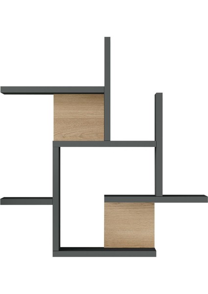 Shelf 21 Duvar Rafı Sepet-Antrasit WL21-SA modelleri